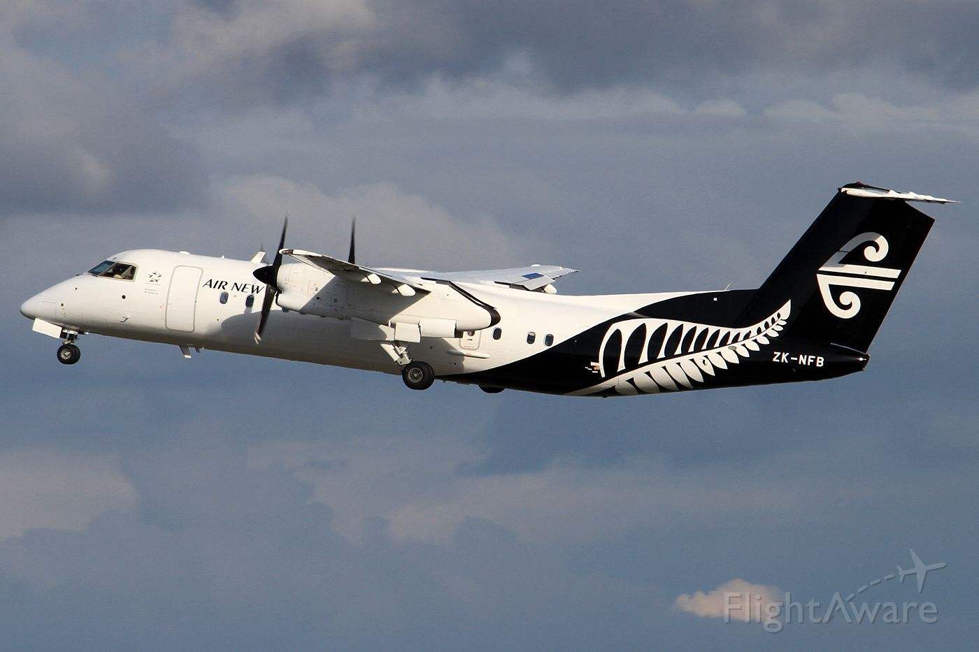 Q系列（冲锋-8）