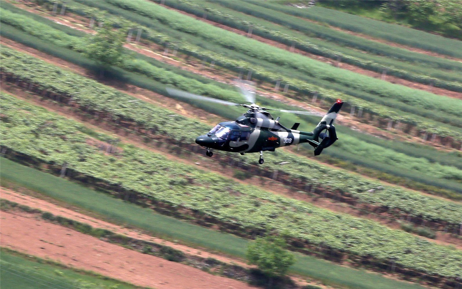 西飞-武直-9直升机