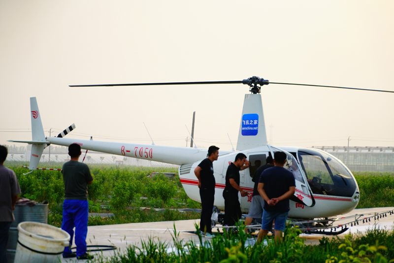 山东济南一架直升机机组彻夜未眠防治美国白蛾